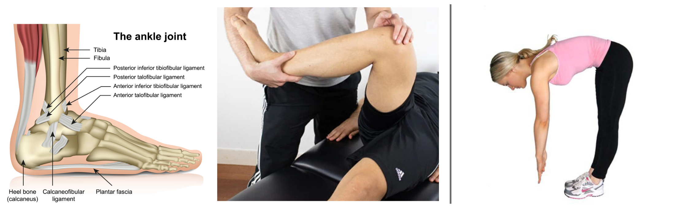Physical assessment of foot, ankle, knee, hip & back